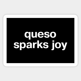 "queso sparks joy" in plain white letters - no one's sad with chips and dip Magnet